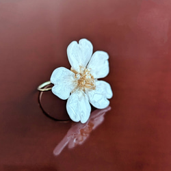 【K14GF】【受注制作】本物の桜　厳選したお花で仕上げたリング／指輪　ゴールドフィルド　野花の婚約指輪・プロポーズにも 12枚目の画像