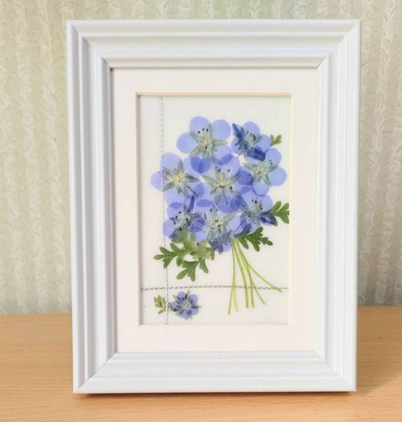 送料無料】ネモフィラ 花束 押し花額 その他インテリア雑貨 真蓮花工房