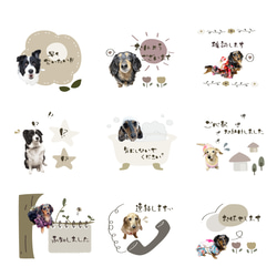 ペットLINEスタンプ　フルオーダー 2枚目の画像