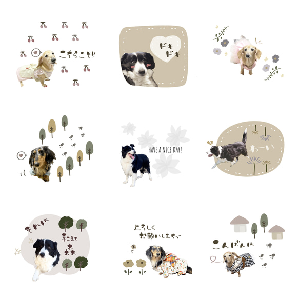 ペットLINEスタンプ　フルオーダー 3枚目の画像