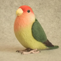 オカメインコ ノーマル オス 1707201 羊毛フェルト Primary Color