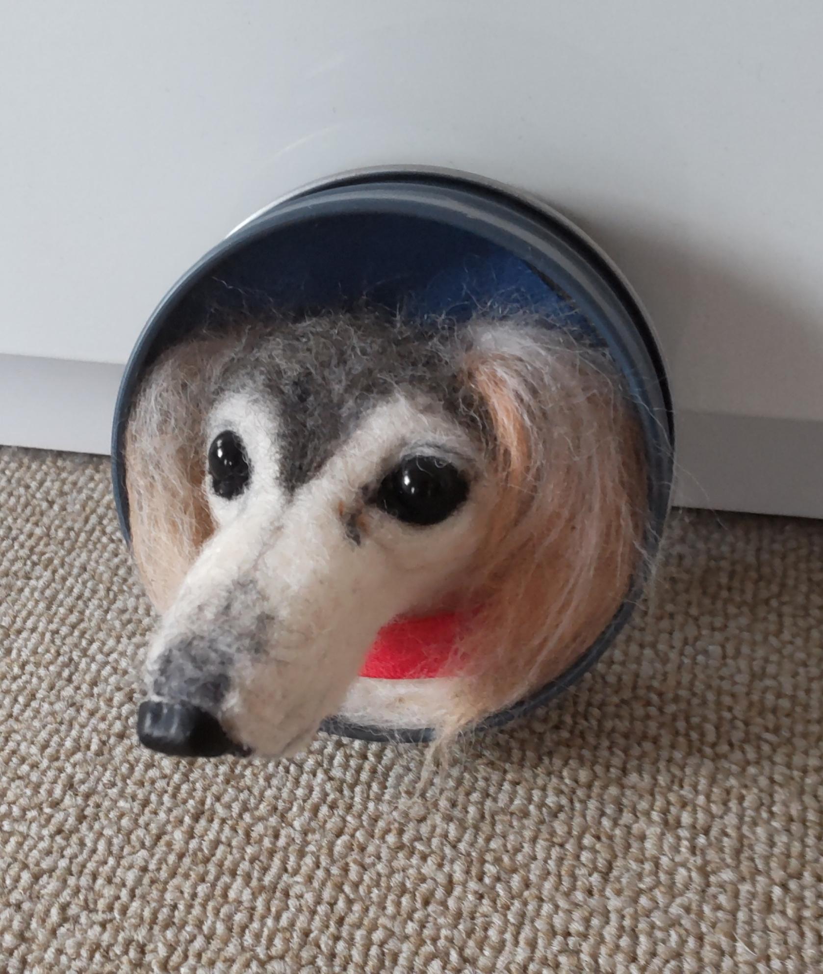 羊毛フェルト ベッタン子 サルーキ犬 羊毛フェルト olive 通販