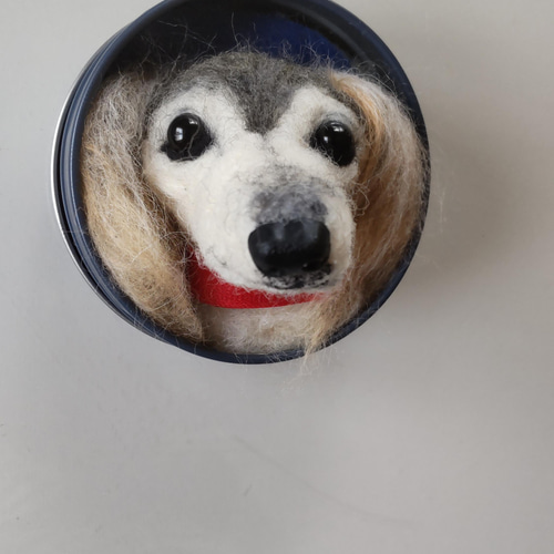 羊毛フェルト ベッタン子 サルーキ犬 羊毛フェルト olive 通販