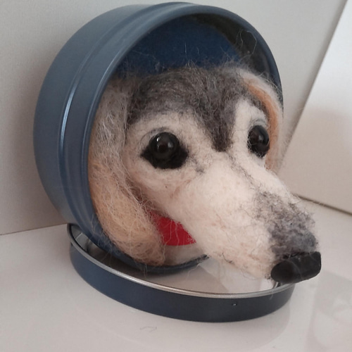 羊毛フェルト ベッタン子 サルーキ犬 羊毛フェルト olive 通販