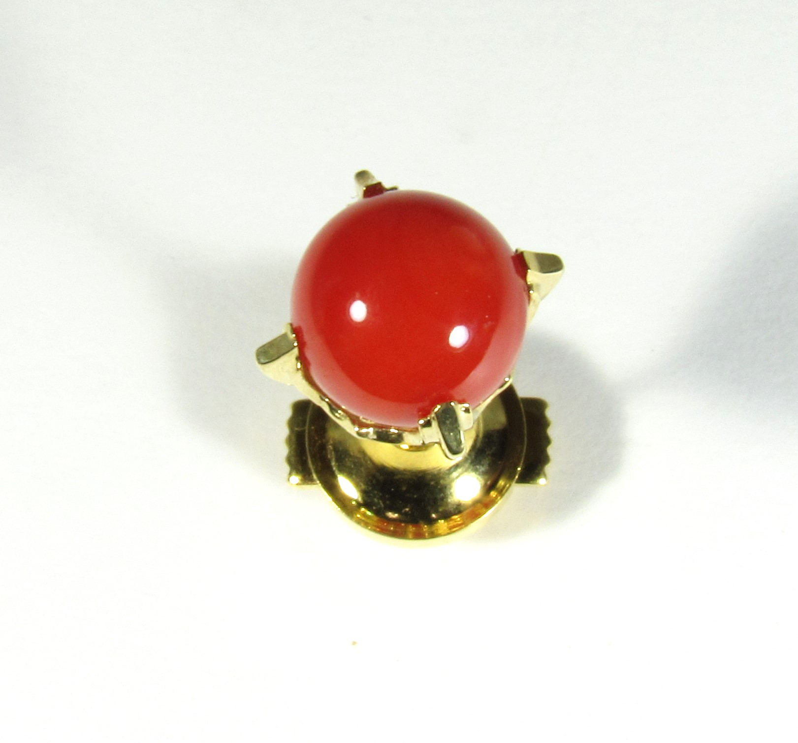 宝石珊瑚  さんご　アクセサリージュエリー　赤サンゴ　メンズ　ゴ－ルド　IMG- 0674