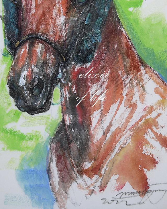 原画。競走馬のポートレートⅡ（墨、アクリル、水彩、厚い和紙、２６ｃｍ×３６ｃｍ） 3枚目の画像