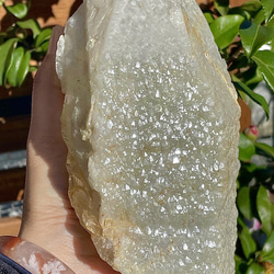 9ceaaafd16e480d4b1ad8504a81fc1