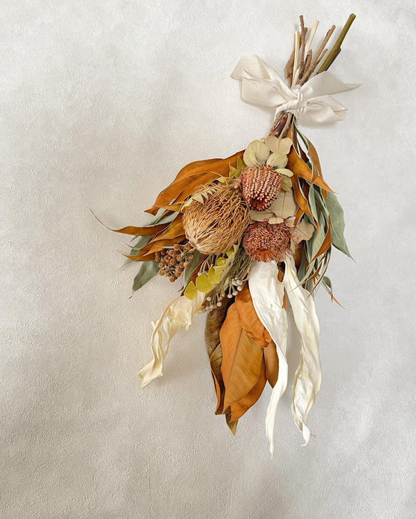 Banksia brown leaf swag スワッグ francfleur 通販 13608763