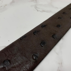 日本製　クライン・カルー　オーストリッチ　真鍮エポキシ樹脂金具　３０㎜巾　上質　ベルト　エキゾチックレザー 2枚目の画像