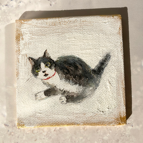 猫 原画 #170 ソックス 猫 10cm✖️10cm 原画 猫絵 オリジナル 原画 絵画 しまねこ