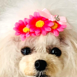 ペット　犬用　ハンドメイド  春ヘア飾り　ヘアアクセサリー　リボン　バレッタ 5枚目の画像