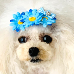 ペット　犬用　ハンドメイド  春ヘア飾り　ヘアアクセサリー　リボン　バレッタ 3枚目の画像