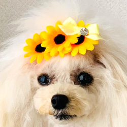 ペット　犬用　ハンドメイド  春ヘア飾り　ヘアアクセサリー　リボン　バレッタ 7枚目の画像
