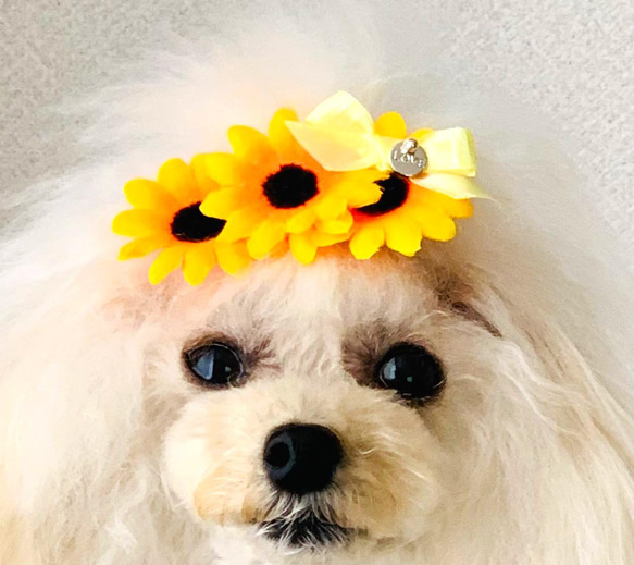 ペット　犬用　ハンドメイド  春ヘア飾り　ヘアアクセサリー　リボン　バレッタ 6枚目の画像