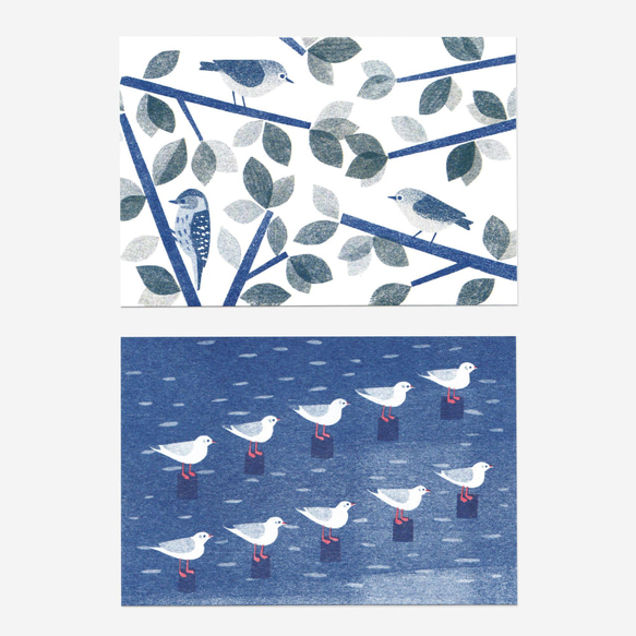 きせつの鳥たちポストカード（６枚セット） 3枚目の画像