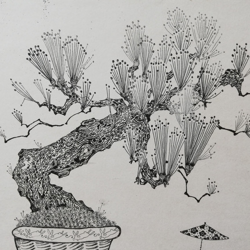 版画 MIYU 銅版画作品 「ミニ盆栽ー松ー」 版画 ほりみゆき (MIYU) 通販 13612308