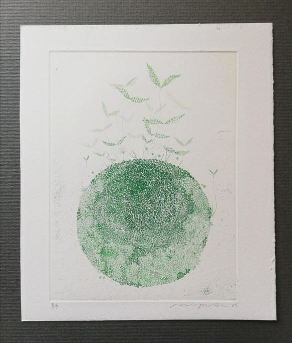 銅版画作品 「こけだま」 7枚目の画像