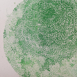 銅版画作品 「こけだま」 4枚目の画像