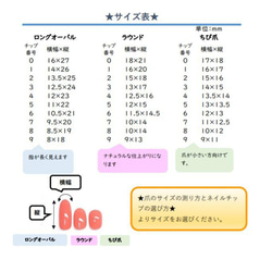 シルプル　ベージュフレンチネイルチップ 2枚目の画像