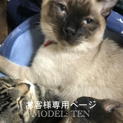 【オーダーメイド例_TENくん】羊毛フェルト、猫ぬいぐるみ、フェルト猫、半立体肖像画、オーダーメイド 8枚目の画像