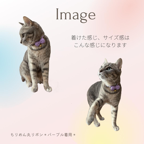 [赤 × ちりめん丸リボン]   猫の首輪　猫　首輪 3枚目の画像