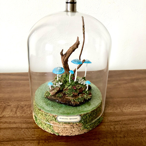 キノコ標本のテラリウム(大) ピクシーズパラソルver 立体・オブジェ