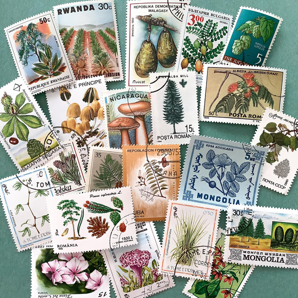 1962 外国切手 タークス・カイコス諸島 花と植物14種完セット 高額面 1962