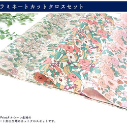 リバティ【ラミネートセット】ピンクベージュ系01　カットクロス　３種類　カット済（約30ｃｍ×50ｃｍ）ビニコ　生地 4枚目の画像