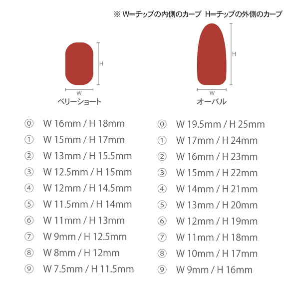 サイズ計測用チップ 1枚目の画像