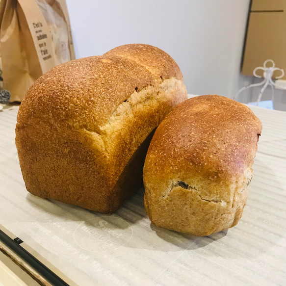 美容と健康に！国産小麦全粒粉100%『グラハムブレッド』と『オーガニックのぶどうパン』[クール冷凍便] 2枚目の画像