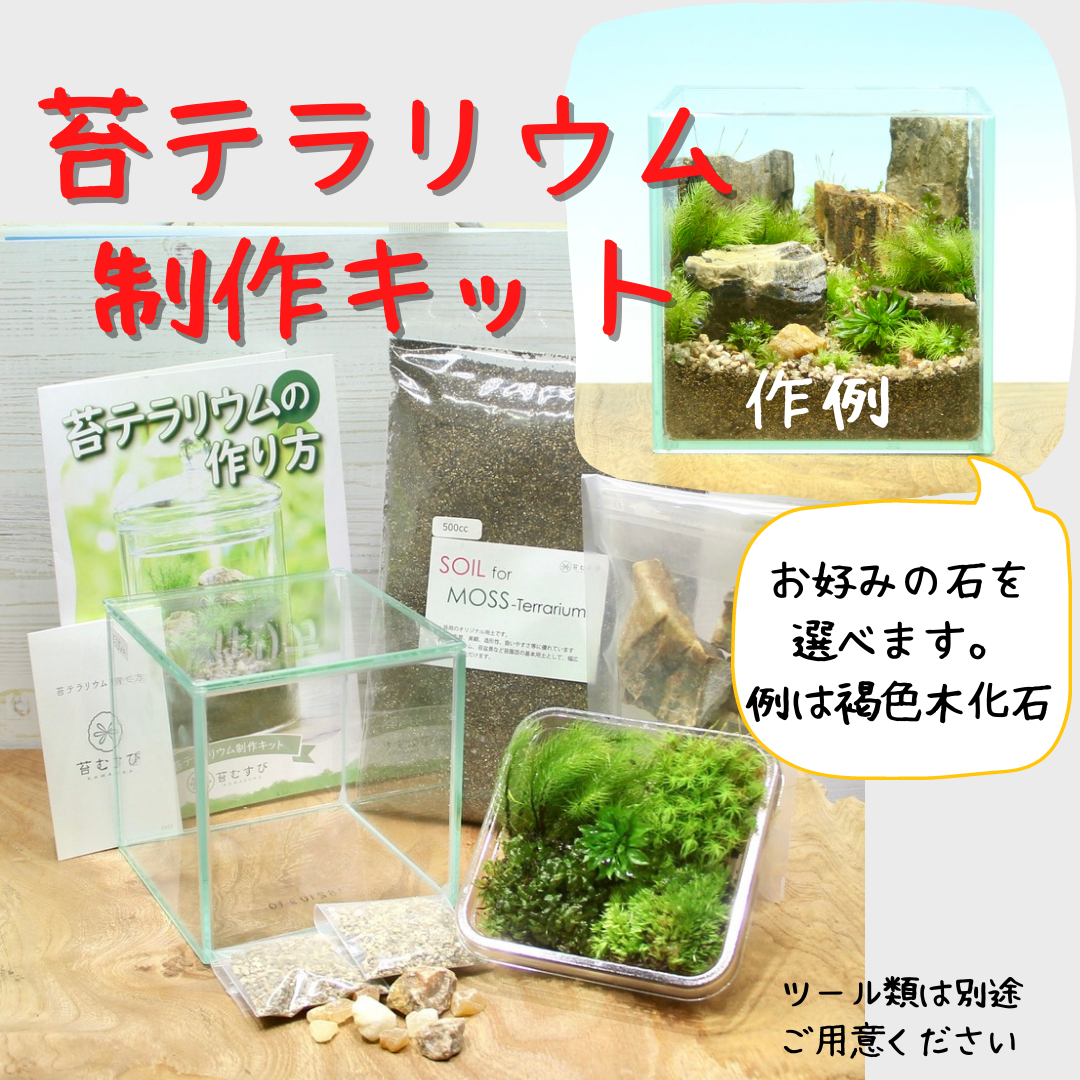 苔テラリウムキット カピバラの防水フィギュア付きキット