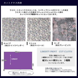 リバティ【ラミネートセット】シックパープル系02　カットクロス　３種類　カット済（約30cm×50cm）ビニコ　生地 3枚目の画像