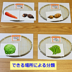 野菜カード　はがきサイズ　30種類 7枚目の画像