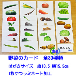 野菜カード　はがきサイズ　30種類 2枚目の画像