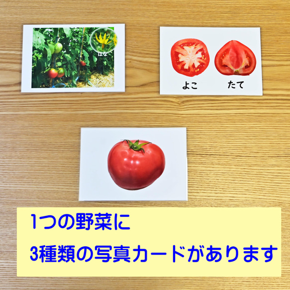 野菜カード　はがきサイズ　30種類 5枚目の画像