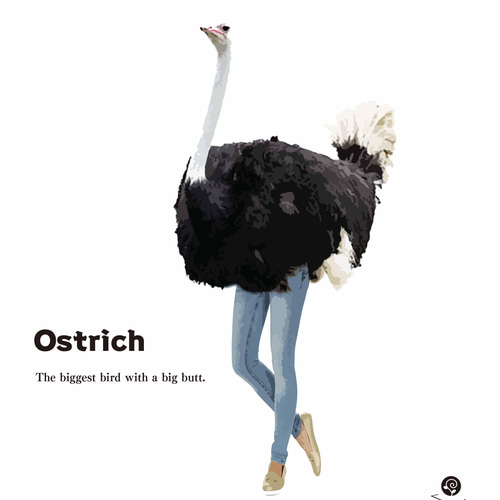 ダチョウページ カジュアル 鳥 ダチョウ 送料無料 オリジナルポスター アート/seiで