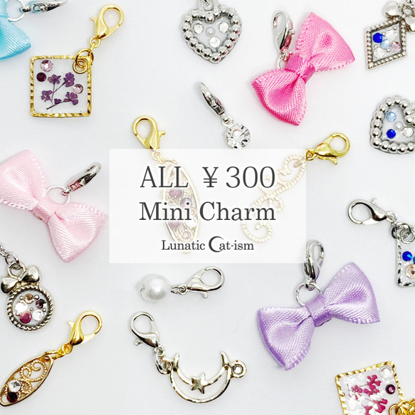 送料無料｜ポイント消費☆300円ミニチャーム-カニカン付き