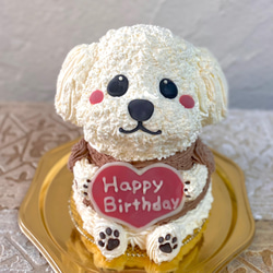 白い犬の立体ケーキ 誕生日や記念日に トイプードル [ご希望のお受取り