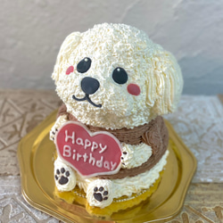 白い犬の立体ケーキ　誕生日や記念日に　　トイプードル　<ご希望のお日にち•時間帯をご指定下さい> 2枚目の画像