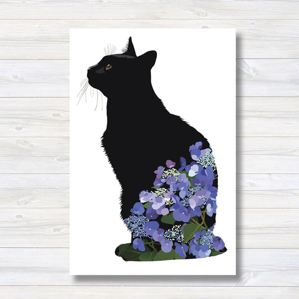 083黒猫紫陽花ポストカード2枚セット 1枚目の画像