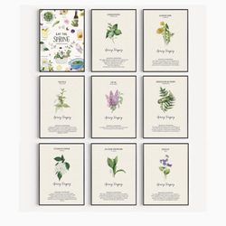 キッチンポスター　/ i0606 / 春のハーブや花 ボタニカル　インテリアポスター 10枚目の画像