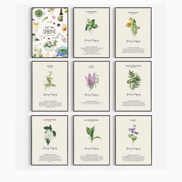 キッチンポスター　/ i0604 / 春のハーブや花 ボタニカル　インテリアポスター 10枚目の画像