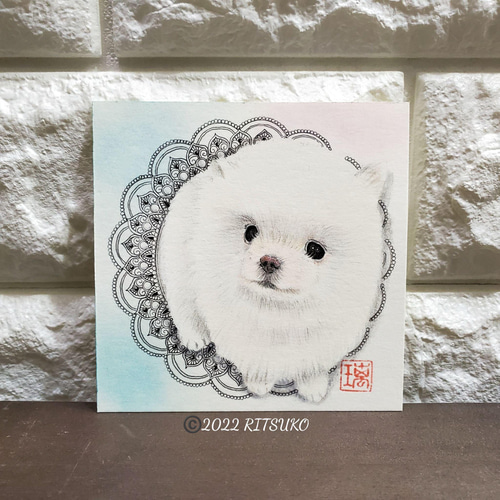 Amazon | 色鉛筆画アート ポメラニアン | 色鉛筆 | 文房具