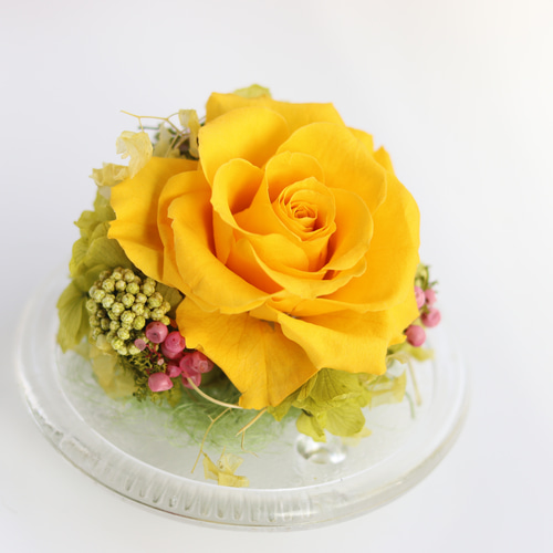 おしゃれなガラスドーム 鳥モチーフ 黄色いバラ イエロー プリザーブド