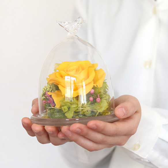 おしゃれなガラスドーム 鳥モチーフ 黄色いバラ イエロー プリザーブド