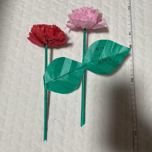 母の日 手作りカーネーション工作キット - ☆colorful