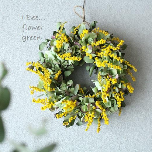 ◇ドライフラワーリース◇ミモザプルプレア◇welcome◇プレゼント  