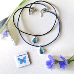 モルフォ蝶の羽根のティアドロップチョーカー チョーカー