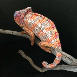 あみぐるみカメレオン(オレンジ) あみぐるみ amikomi425 通販 13627976