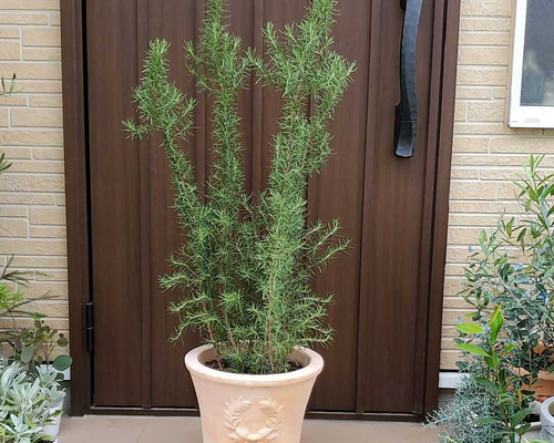 3dae678e55e4dd8f194f511aebf26c